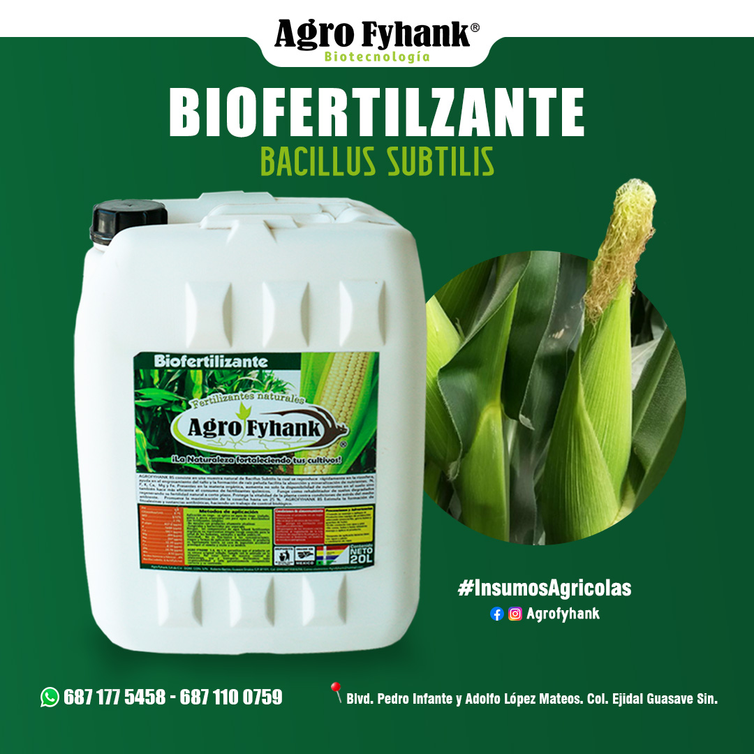 Biofertilizante