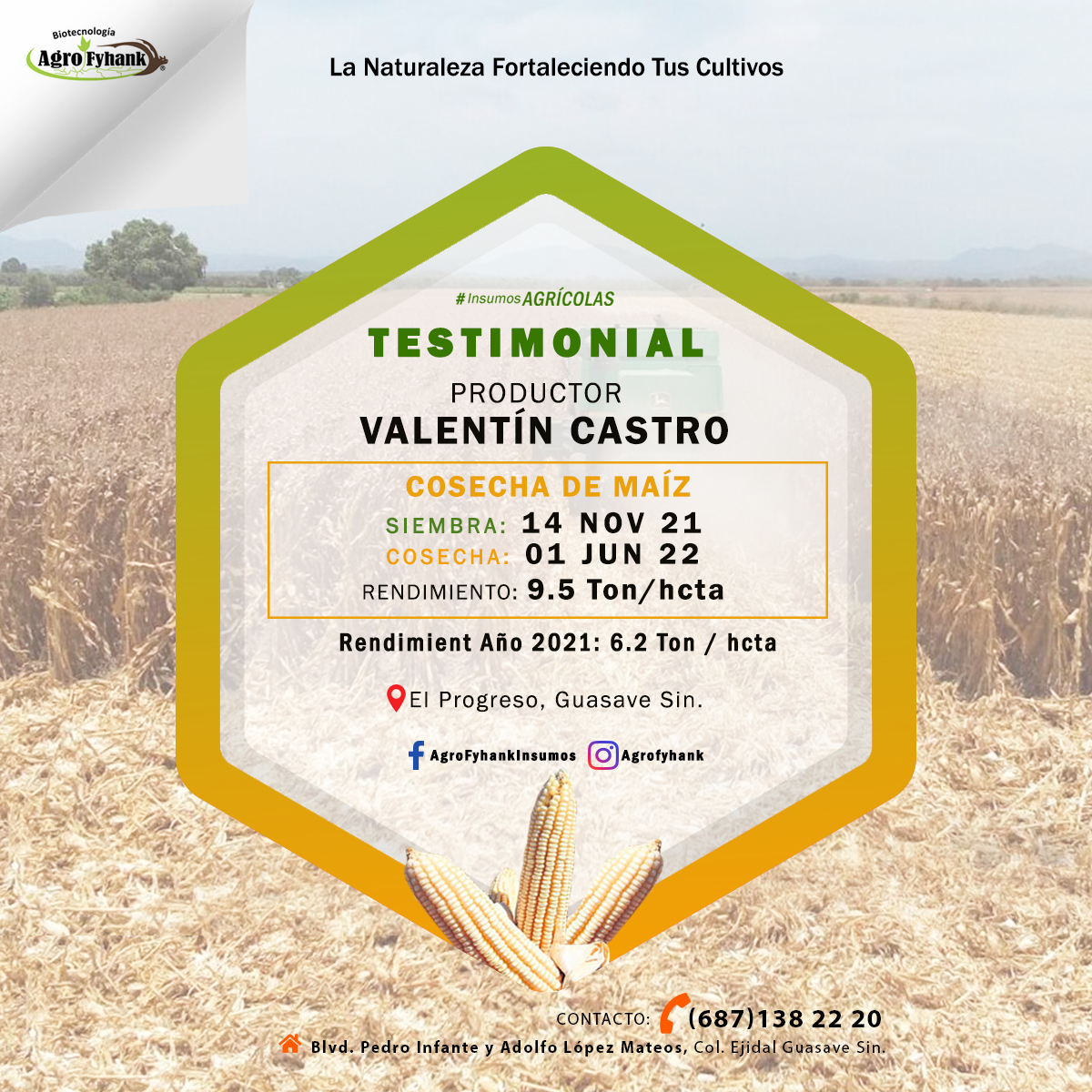 Testimonio 60