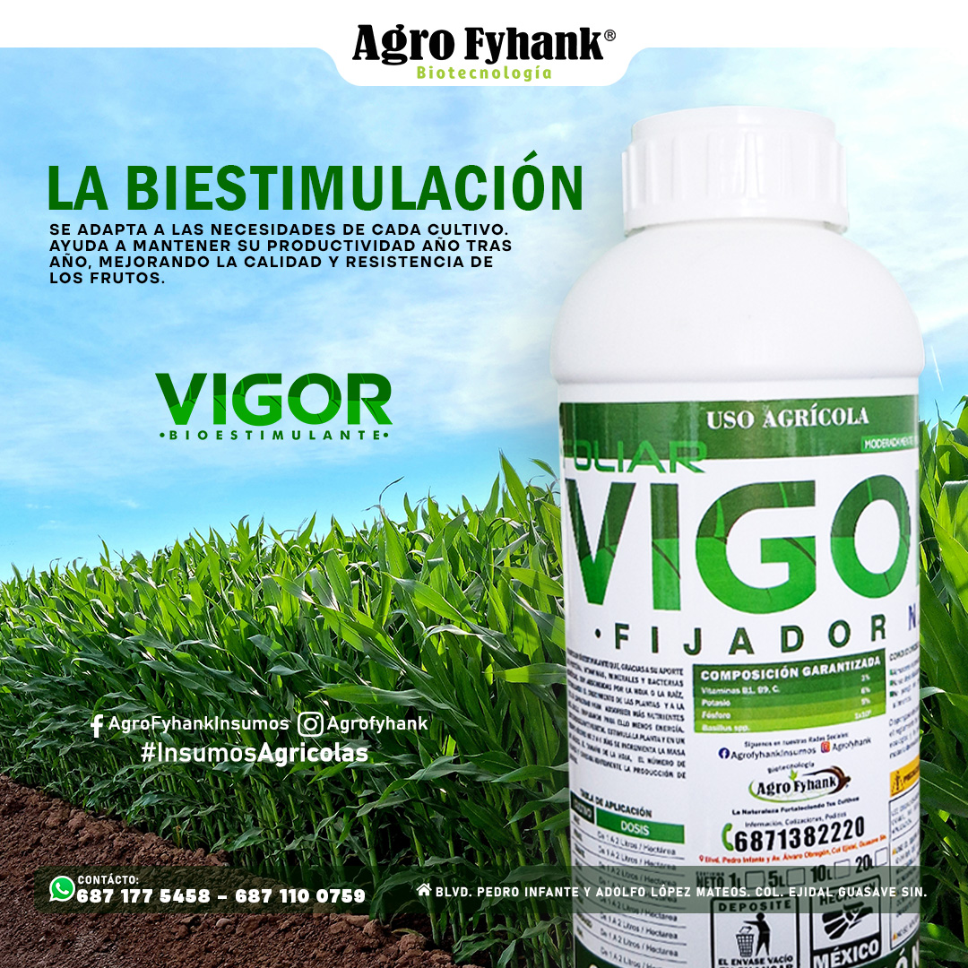Vigor